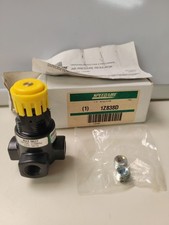 SPEEDAIRE 1Z838D Pressure Regulator 1/4"