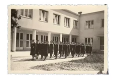 NDH 1942 Female Ustasha Youth • School Formation Group • Original Photo