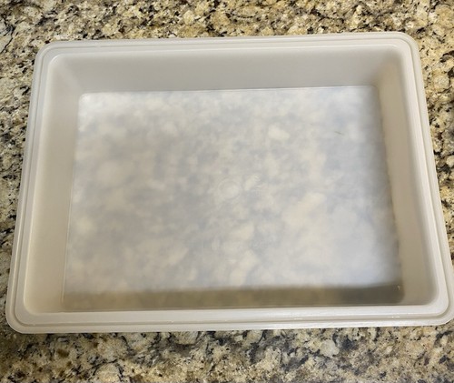 Vintage TUPPERWARE Fresh N Fancy Rectangle Sheet Cake Taker With Lid White - Bild 3 von 7