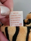 Bild 6 von 6