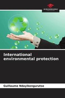 Guillaume Ndayikengurutse | International Environmental Protection | Taschenbuch