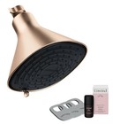 Canopy Filtered Shower Head High Pressure Filter for Hard Water Gold/brass