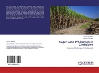 Sugar Cane Production In Zimbabwe Clainos Chidoko