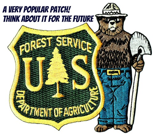 ⫸ SMOKEY BEAR "PLEASE BE CAREFUL" OFFICIAL USFS Embroidered Patch Firefighters - Picture 9 of 9