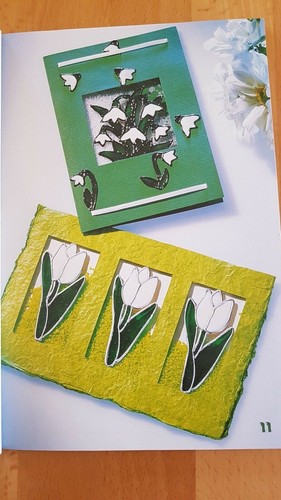 Topp Buch Schüttelkarten mit Window Color Grußkarten Karten - Bild 3 von 3