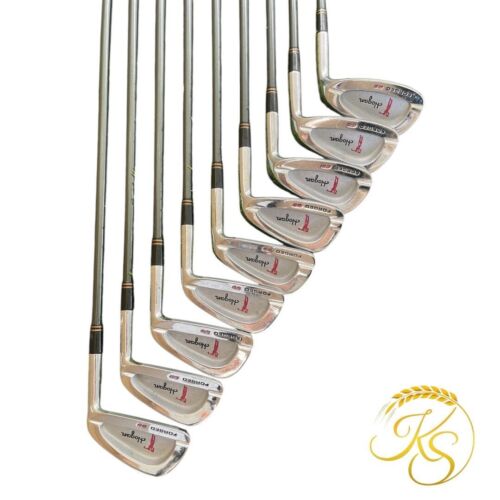 Hogan SABER GS SABER FORGED Iron Set of 9 3-9 E S Graphite Flex R Hogan USED - Picture 2 of 10