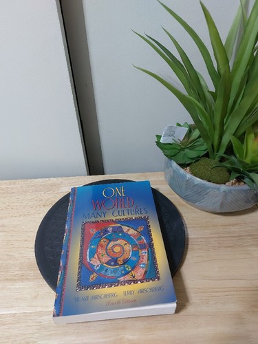 One World, Many Cultures by Stuart Hirschberg: 2001 Softcover