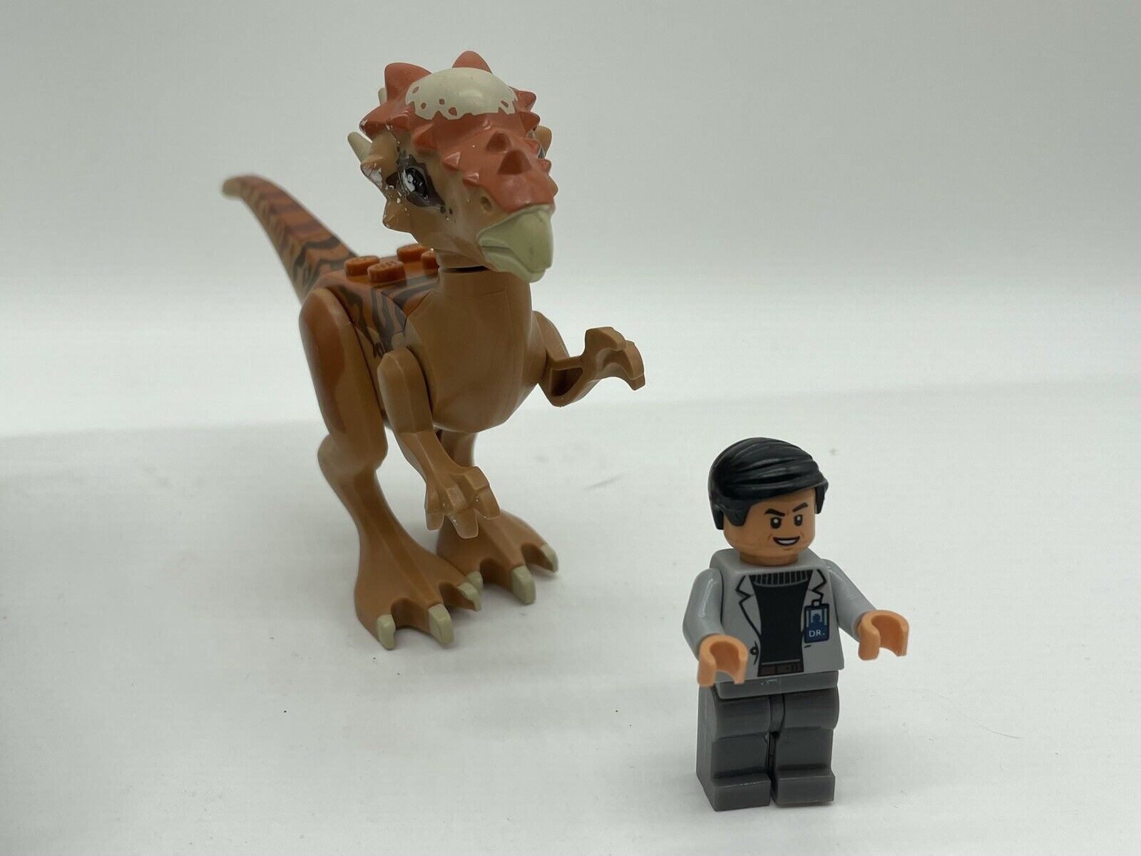 Picture 5 of 5