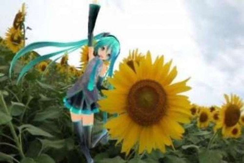 RICOH 360 degree camera THETA SC Hatsune Miku limited edition mixer from japan - Picture 8 of 8