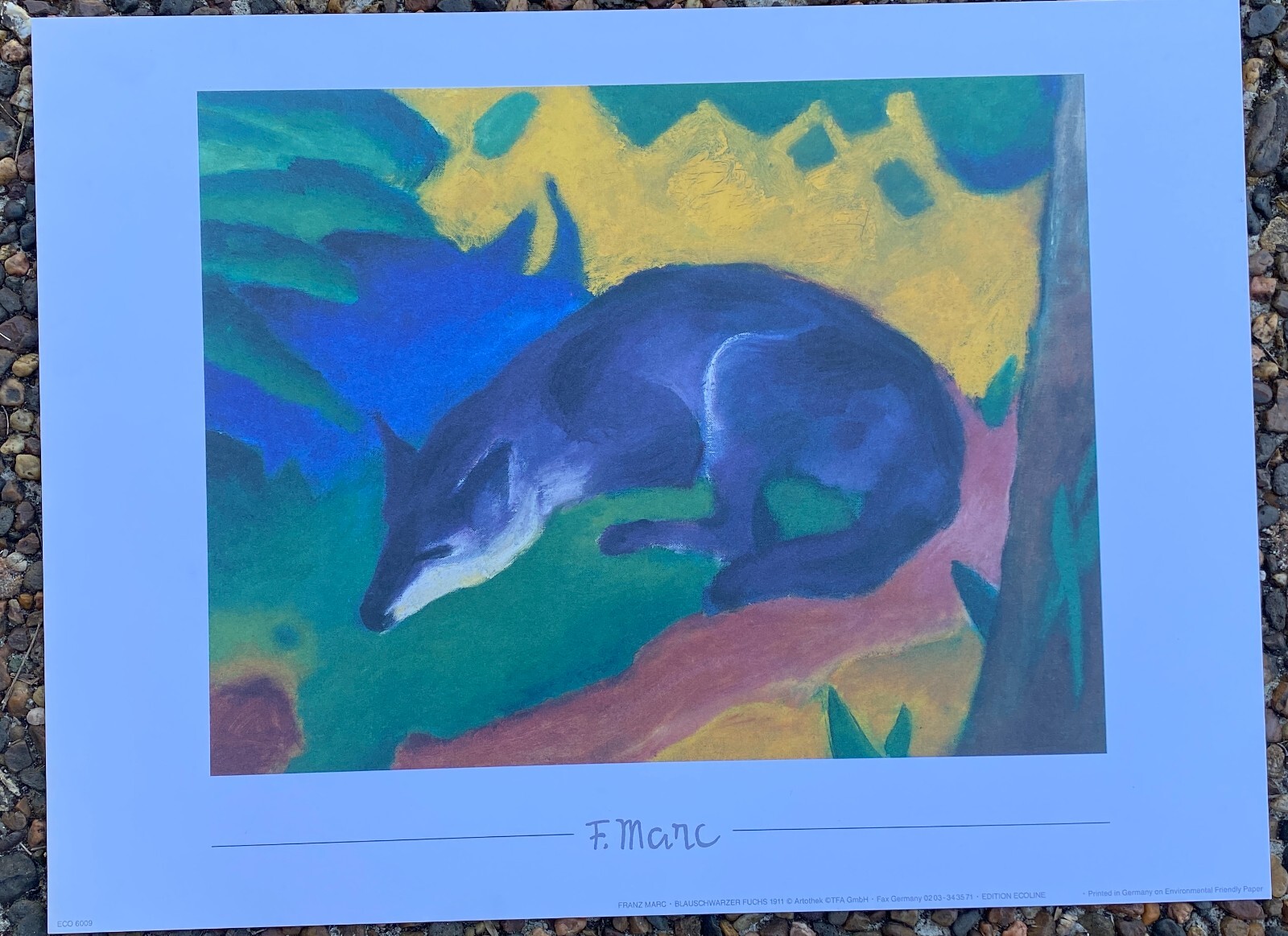 Picture 6 of 40