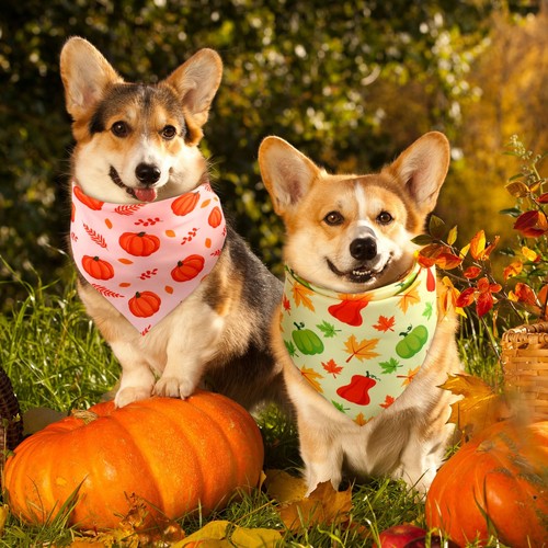 Preboun 50 Pezzi Bandana Autunno Zucca Cane Bulk Foglie d'Acero Bandana per Cani Tr... - Foto 4 di 6