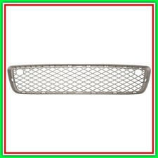 Griglia Paraurti Anteriore Inferiore (Titanio) Bmw X5-E70-(Anno 2007-2010)