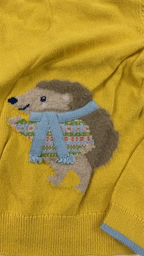 Mini Suéter Boden Niñas 11-12 años Erizo Tejido Crew Pullover Animal Lindo Invierno - Imagen 2 de 9