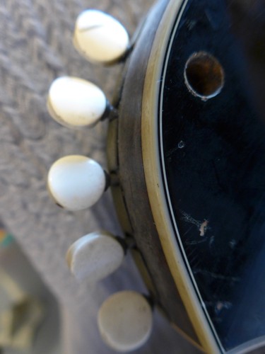 Trade Mark FRAMUS Zither Zupfinstrument Musikinstrument - Picture 15 of 16