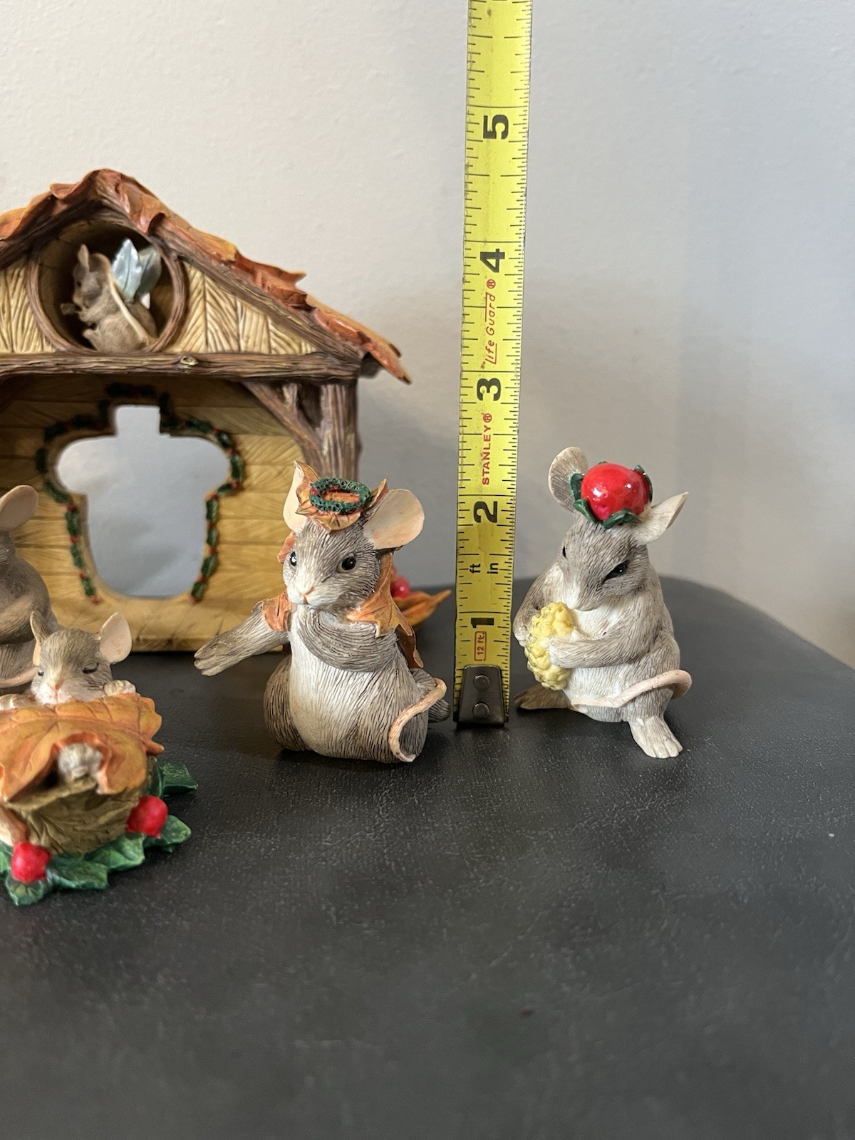 Picture 8 of 19