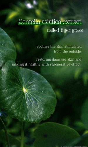 PRETTY SKIN Aloe Vera Feuchtigkeitscreme 60ml Feuchtigkeitscreme Beruhigende Creme NEU - Bild 7 von 12