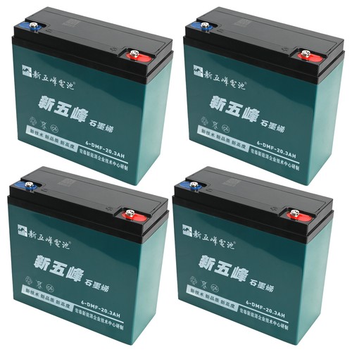 12V 20Ah 6-DZM-20 Battery for Electric Bike Quad Mobility Scooter Golf Buggy ATV - Picture 11 of 18