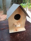 Beautiful Hand Made Bird House 9" Tall Solid Pine Rough Natural