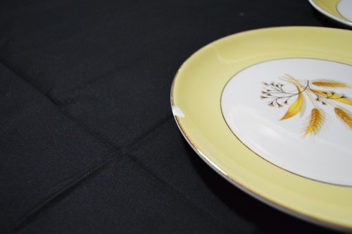6 Century Salad Plates, Autumn Gold Yellow BorderW/Gold Trim, Wheat Pattern Chip - Picture 4 of 7