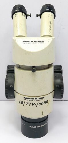 Wild Heerbrugg Stereo Microscope with 10x/21 Eyepieces and Plan 1x Objective - Picture 7 of 10