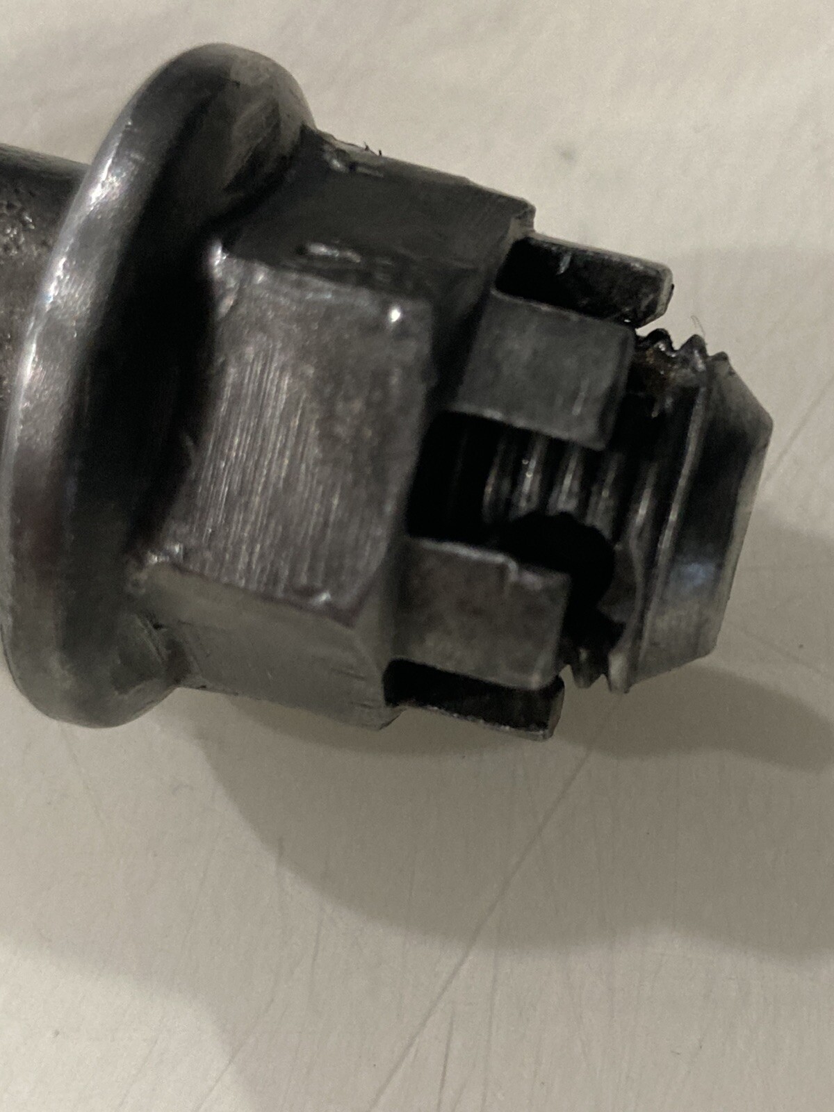 Picture 5 of 5