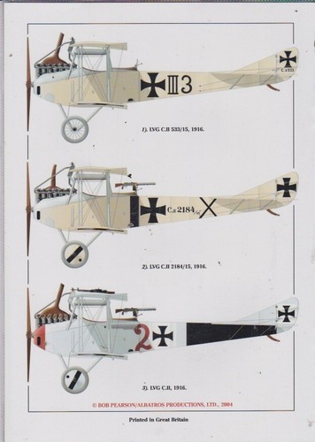 THE LVG C.II-WINDSOCK DATAFILE 106-2004. - Bild 2 von 2