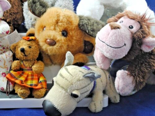 Varios OSO PERRO MONO CERDO ZOOLÓGICO GORRO DE PELUCHE SUAVE PELUCHE ANIMALES Mezcla Lote Juguetes - Imagen 7 de 130