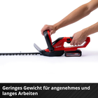 Bild 7 von 12