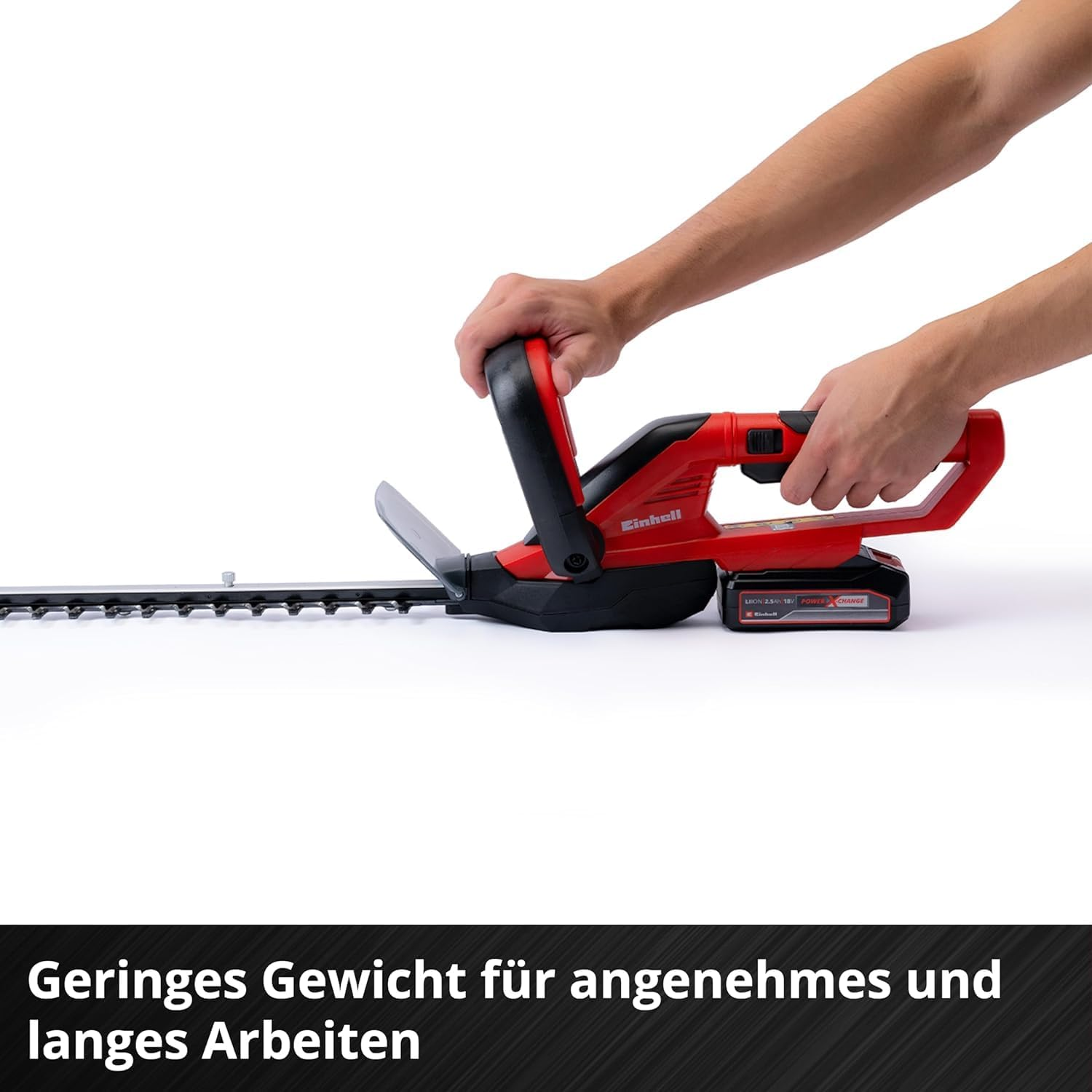 Bild 7 von 12