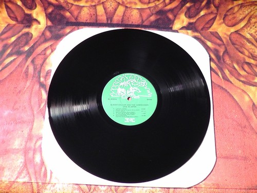 Albert Collins & Icebreakers Live in Japan LP Alligator AL 4733 Stereo NM - Picture 3 of 4
