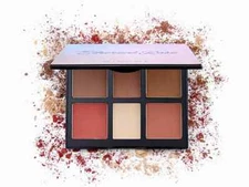 WINGME COSMETICS Ethereal Rose Eye and Face Palette in Light 15g / 0.53 oz NEW