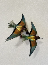 Taxidermy bird BEE-EATER(Merops apiaster) Real Bird. Home decor Souvenir Bird