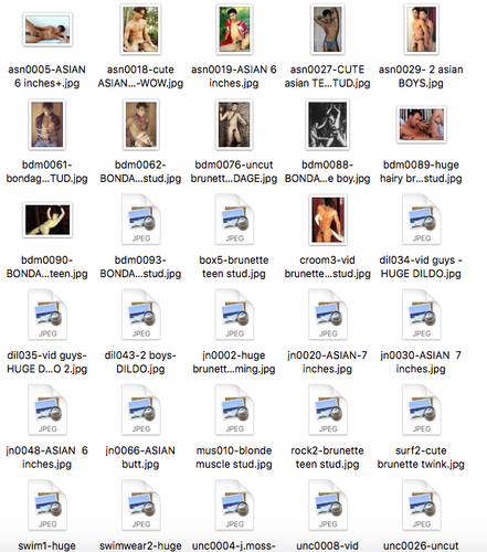325 Floppy Discs Saving Early Gay Male Nude Pornographic Website Photos Graphics - Afbeelding 12 van 14