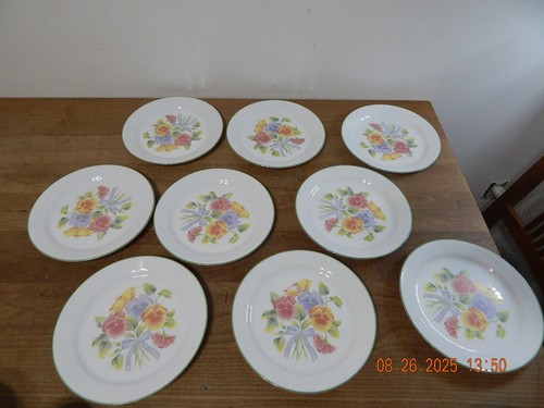 Corelle Corning Sommer Rouge Stiefmütterchen 9" Mittagessen Salat Teller 9er Set USA nicht mehr produziert
