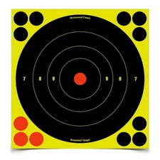 BIRCHWOOD CASEY Shoot-N-C 8in Bull's-Eye 30 Targets, 360 Pasters (34825-30)