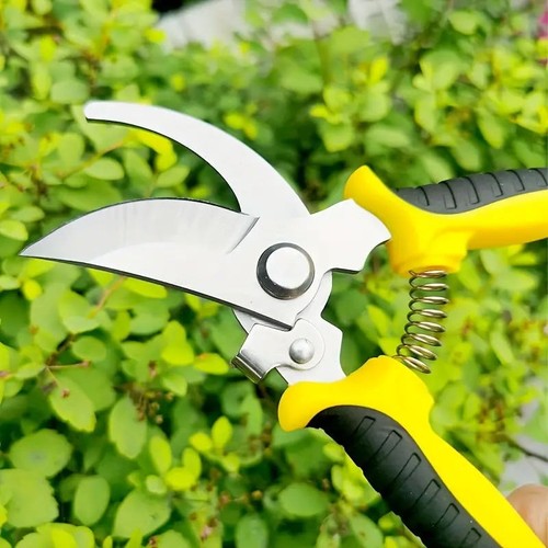 NEW Pruning Shears Cutter Home Gardening Plant Scissor Branch Garden Pruner - Picture 5 of 19