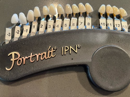 Portrait IPN Shade Conversion CHART DENTSPLY International Trubyte Teeth - Bild 3 von 4