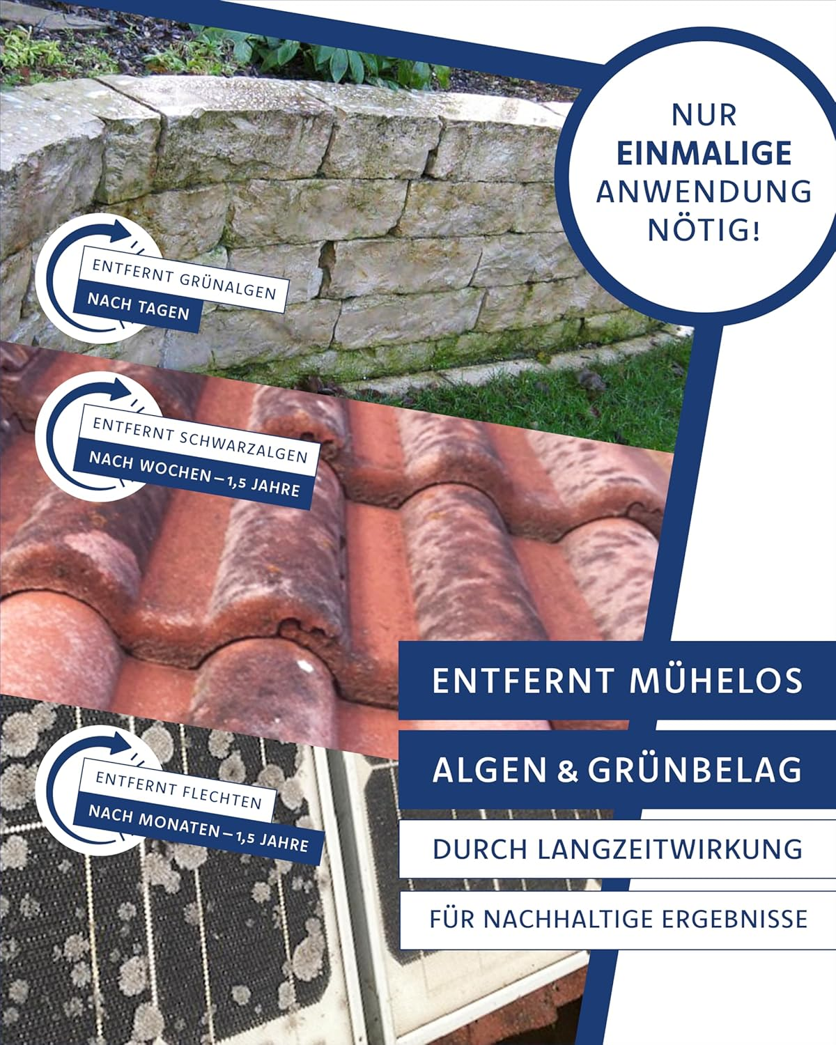 Bild 4 von 8