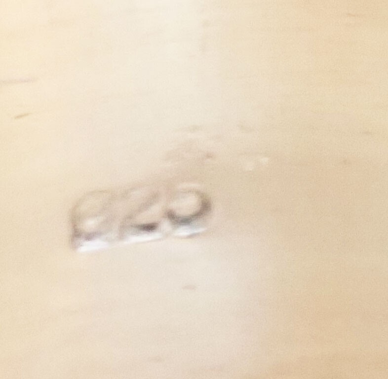 Picture 8 of 8