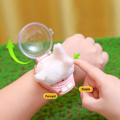 Remote control car for kid boy girl children toy rabbit dog birthday gift - Picture 3 of 18