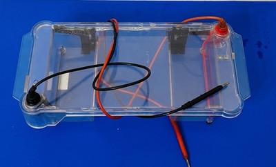 Bio-Rad Sub Cell GT DNA Electrophoresis Gel Box
