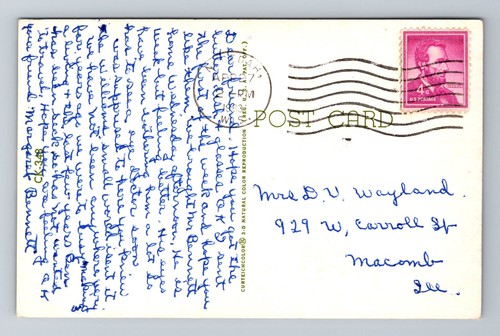 Postcard WI Adams Wisconsin Greetings From Autumn Trees Scenic Road View - Picture 2 of 2
