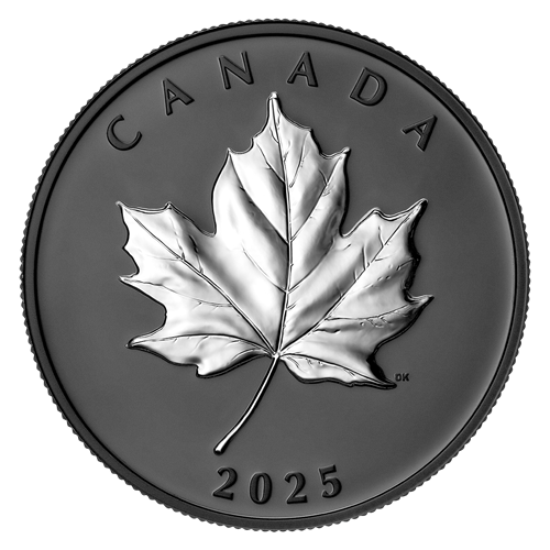 ELEGANT MAPLE 2025 CANADA Rhodium Gilded 1oz .9999 Pure Silver $20 Coin - Picture 1 of 6