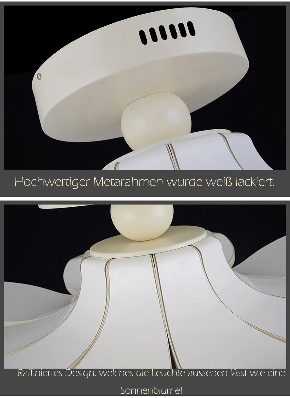 Bild 10 von 28