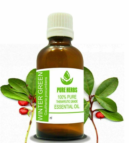 Pure Herbs wintergreen 100% Pure Gaultheria procumbens Essential Oil Lg282 - Picture 11 of 11