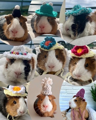 GIFT SET of 10 pcs Crochet Hats for Guinea Pigs and Other Small Pets - 第 1/9 張圖片