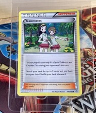 Teammates 141/160 XY-Primal Clash Regular