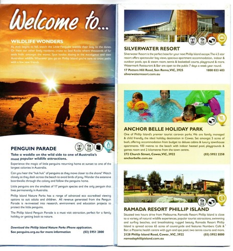 Phillip Island Information and Fold Out Map, including Seals and Penguins - Picture 2 of 3