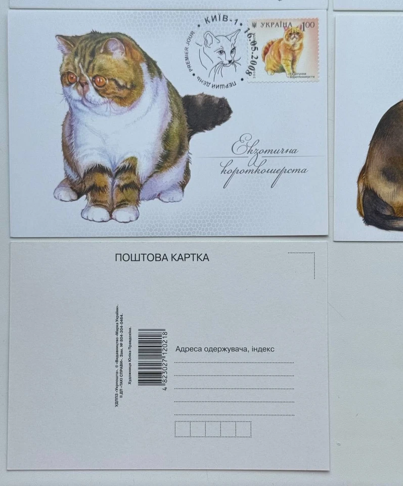 Ukraine - Set of Cardmaxes  "Cats" (Cancelled in Kyiv) - 2008 - Image 3 of 3