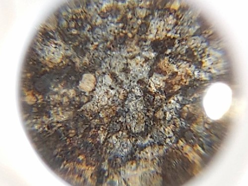 NWA 869, L3-6, 11,74g, Meteorit Endschliff, polierte Fläche, verschiedene Funktionen - Bild 3 von 9
